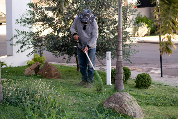 photo of a man cutting the grass in front of a house. gardener